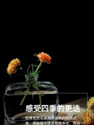 点击看大图 -iSpa