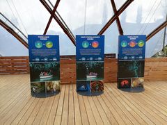 -怀托摩萤火虫洞