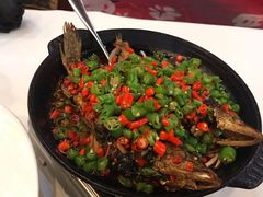香煎臭桂鱼-翠清酒家(万丰路店)