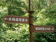 -大岭沟猕猴桃谷风景区