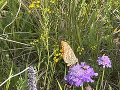 -敕勒川草原文化旅游区