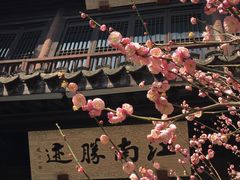 -惠山古镇·寄畅园