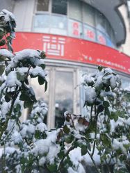 -酉嘉瑜伽YO+YOGA