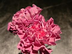 -友谊阳光城