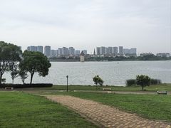 -九龙湖公园