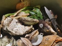 -土蚝·高压锅生蚝(百姓美食街店)