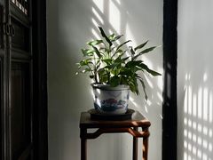 -东山雕花楼