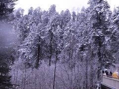 -海螺沟风景区
