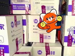 -骆驼日式搬家收纳整理
