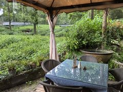 -野蔓果·山野菜(西湖景区·龙井茶田店)