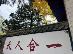 -崂山巨峰游览区
