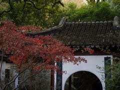 -上海醉白池公园