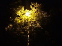 -云川台球(马甸店)