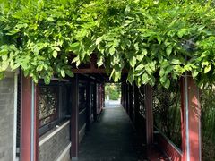 -北坞公园