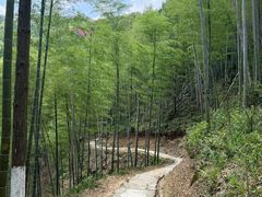 -莫干山风景区