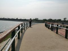 -丁香湖公园