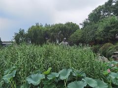 -郭守敬纪念馆
