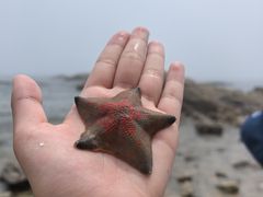 -长岛南北长山旅游景区
