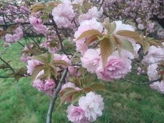 -陕西华浮宫酒店(未央湖公园店)