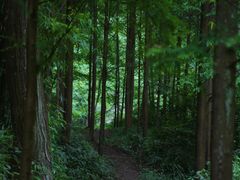 -青城山
