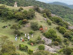 -大姆山草场
