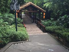-天赐温泉