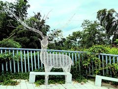 -长沙黑麋峰国家森林公园