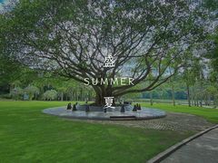 -深圳仙湖植物园