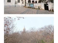 -上海佘山国家森林公园西佘山园