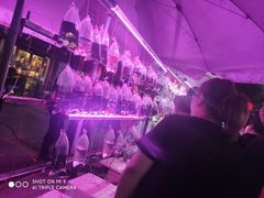 -中环花鸟鱼虫市场