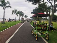 -野狸岛