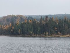 -五营红松林海景区