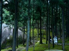 -玉苍山国家森林公园