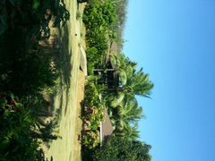 android_upload_pic-椰树岛海滩度假村