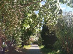 -国家植物园南园