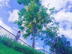 -人民公园(罗湖区)