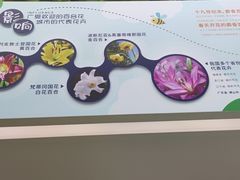 -万顷园艺世界