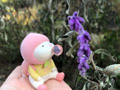 -鼓岭旅游度假区