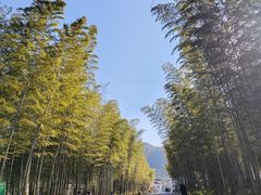 -天目湖御水温泉·度假酒店