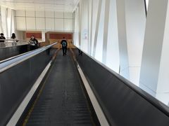 -山东大学齐鲁医院(青岛院区)