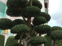-富贵黄金屋