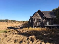 -塞罕坝国家级自然保护区