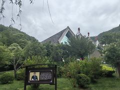 -牛背梁国家森林公园