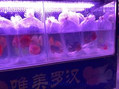 -华声天桥民俗文化园