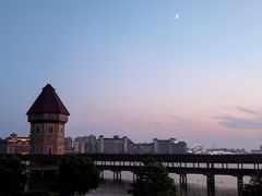 -九龙湖公园