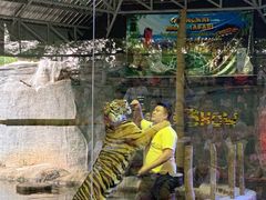 -清迈夜间动物园