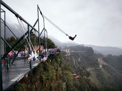 -梦幻奥陶纪景区