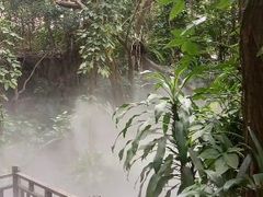 -呀诺达热带雨林