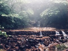 -青峰峡国家森林公园