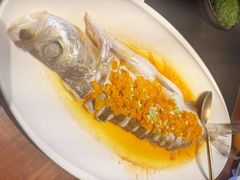 -虹之森·小馆